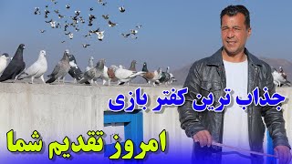 باز هم یک کفتر بازی تقدیم به شوقی های عزیز /049Afghan Shawqi