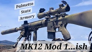 Budget PSA SPR Build--- "MK12 Mod 1..ish"