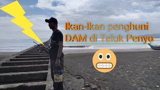 MANCING #2 | Mancing di Teluk Penyu Cilacap # 1st Fishing 2020