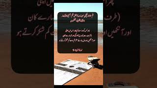 #religion #islamicstories #quotes #islamiqoutes #music #ytshorts #islamicquotesandsayings #urdu