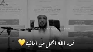 قدر الله أجمل من كل الأمنيات 🌸 الشيخ سعد العتيق