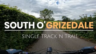 South O'Grizedale - Single Track n Trail