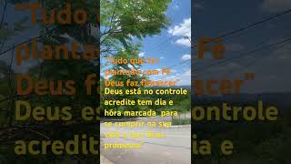 Agradeça Deus#deuséfiel #deusnocomando #deusforte #louvor #deusnocontrole deusa gratidão #louve