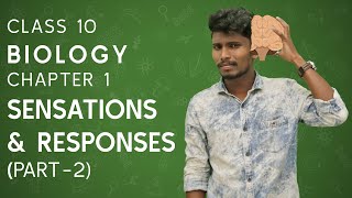 Sensations and Responses - part 2 | Class 10 | Biology | Chapter 1 | Kerala State Syllabus