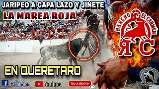 Jaripeo De Lazo llego Con Todo Rancho El Carmen De Temixco Morelos Al Estado de  Queretaro