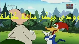 نقار الخشب  وودي بيكر بالعربي  حلقة 2 خاصة ساعة كاملة   woodpecker720 HD