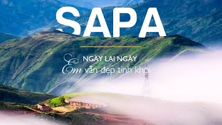 Khám phá Du lịch Sapa từ A-Z