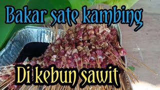 bakar sate kambing di kebun sawit