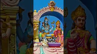 #sadhguruenglish #shortvideo #sadhgurushort #shorts |  Why Was Parvati Puzzled By Shiva’s Actions?