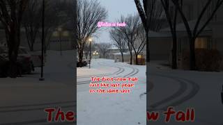 Winter is back! First Snowfall #calgary #canada #viralvideo