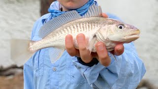 Fishing The Gulf Intracoastal Waterway!