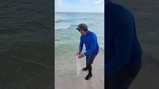 Sardinas en la playa de Miami Beach #pescaconyoel