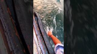 #boat #boating #water #sunset #udaipur #lake #river #shortvideo #shorts