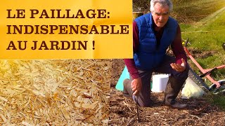 Tout savoir sur le paillage ! Quand et comment? Quels paillis utiliser ? Les erreurs à éviter !