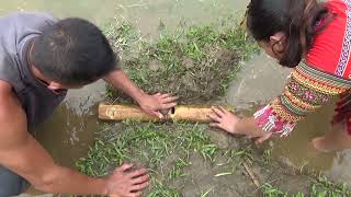 Primitive life : skills primitive fishing traps, Fish trap with bamboo tube Catch catfish