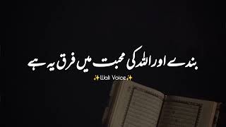 Allah Aur Bandy Ki Muhabbat Mein Kya Farq Hain | Urdu Islamic Quotes| Wali Urdu Islamic Quotes