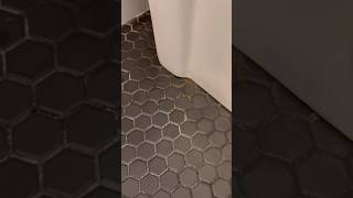 Gross Bathroom Tile