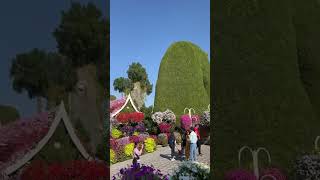 Miracle Garden Dubai