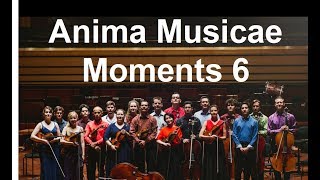 Anima Musicae Moments 6: Vivaldi a minor concerto RV 522