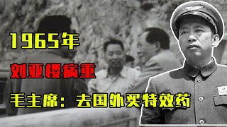 1965年刘亚楼病重，毛主席下令：不惜一切代价，去国外买特效药！#历史故事 #历史 #歷史故事