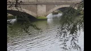 Calming River Bank/ River Bann/ N Ireland