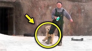 Bear Cub Clings On To Mans Leg - He Turns Pale When He Discover The Sad Reason!