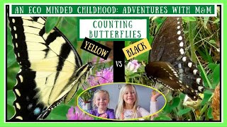 Counting Butterflies | Black VS Yellow!