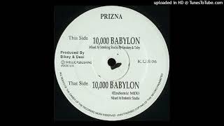 Prizna - 10000 Babylon (Endemic Mix)