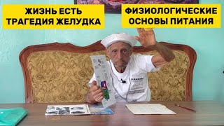 ЖЕЛУДОК | ОСНОВЫ ПИТАНИЯ