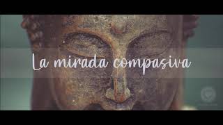 Meditación la Mirada Compasiva