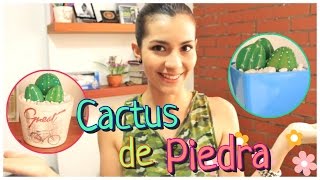 🌵 Cactus de roca para decorar→→ DIY←←