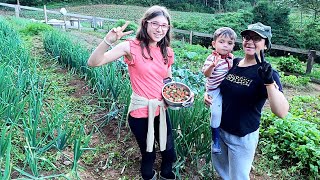 TOUR NA HORTA DO RANCHO/COMO ESTÃO NOSSAS VERDURAS/MOSTREI TUDO+COLHEITA DE MORANGOS 🍓