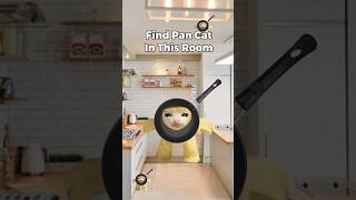 Pan Cat Finding Challenge