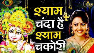 श्याम चंदा है श्यामा चकोरी ||Shyam Chanda Hai Shyama Chakori || Krishan Bhajan || Radha Krishan 2024