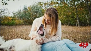 "Puppy Love: Heartwarming Moments of Dogs and Their Humans"