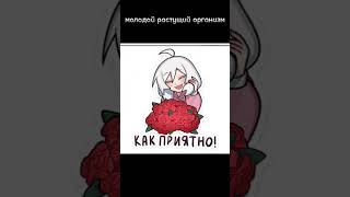 молодой растущий организм...# Tinybanny