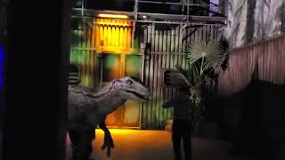 Velociraptor Show at the Jurassic World Exhibition #raptor #jurassicworld #jurassicworldexhibition