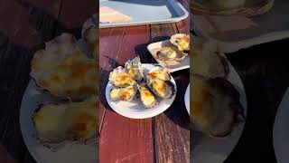 Road Trip to Jim's Oysters | Places to visit in NSW #food #travel #foodie #dayinthelife #explore