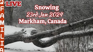 It's Snowing now 23rd Jan 2024 in Markham Canada | LIVE