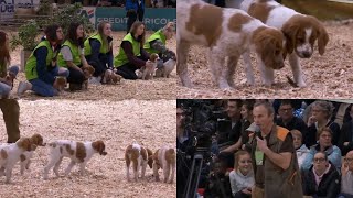 Défilé de clôture du Salon de l'Agriculture de Paris 2019