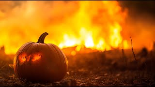 Avon Valley Pumpkin Patch Nights | Explore the patch after dark...