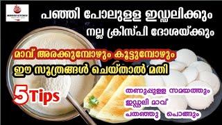 പഞ്ഞി പോലുള്ള ഇഡ്ഡലി വേണോ? ഈ സൂത്രങ്ങൾ ചെയ്ത് നോക്കൂ/ How to make perfect Idli batter for #tips