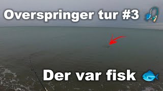 Overspringer tur #3 🎣 Havørred Fiskeri 🐟