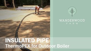 Wrestling a ThermoPEX underground insulated boiler pipe (016)