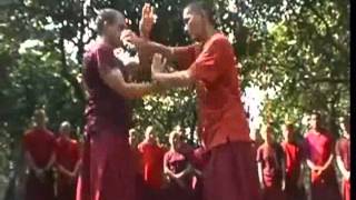 Master Young's Chi Wing Chun 2005