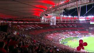 Flamengo campeão da COPA DO BRASIL - 2013