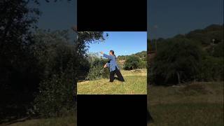 Taiji Qi-Gong (Shibashi) Movement 7: Holding a ball in front of shoulders #taijiqigong #qigong