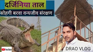 darjiniya tal nichlaul | DarjiniyaTaal |दर्जिनिया ताल | nichlaul | sohagi barwa jungl | निचलौल_सिटी