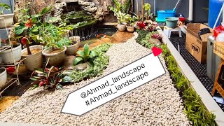 membuat taman rumah di halaman sempit dalem rumah#renovasitaman#tamanmurah#taman#shorts#tamancantik