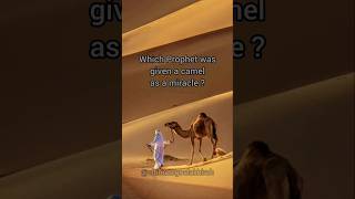 Miracle of camel.#islam #shorts #ytshorts #trending #shortsvideo #youtubeshorts #youtube